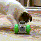 Brinquedo Dispenser de Petiscos em Formato de Robô para Pets: A Diversão Interativa que Estimula o Mental e o Físico do Seu Animal
